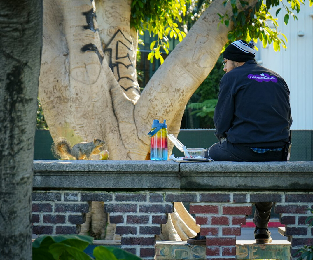 Young Croatian man sitting outdoors using a laptop